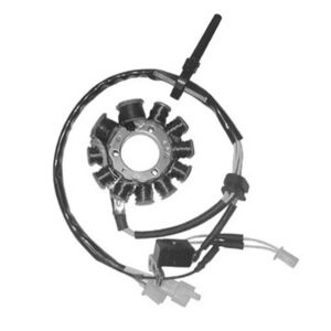 Stator 11 pôles pour SYM Joyride / HD / Peugeot LXR 125 – 2001 à 2015 – SGR – Ref. 31120-H9A-001