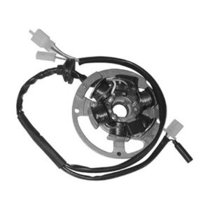 Stator Minarelli 50 2T – Beta Ark/Tempo/Quadra 1995-2008 – Malaguti F10/F12 – Ducati Energia 6 pôles 310325000