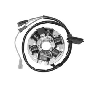 Stator Ducati Energia 6 pôles – Minarelli AM6 – Derbi GPR, Peugeot XP6/XPS/XR6 (1998–2007) – Ref. 31101310